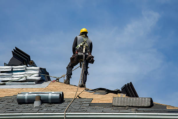 Professional Storm Damage Roof Repair technician working in Aurora, TX